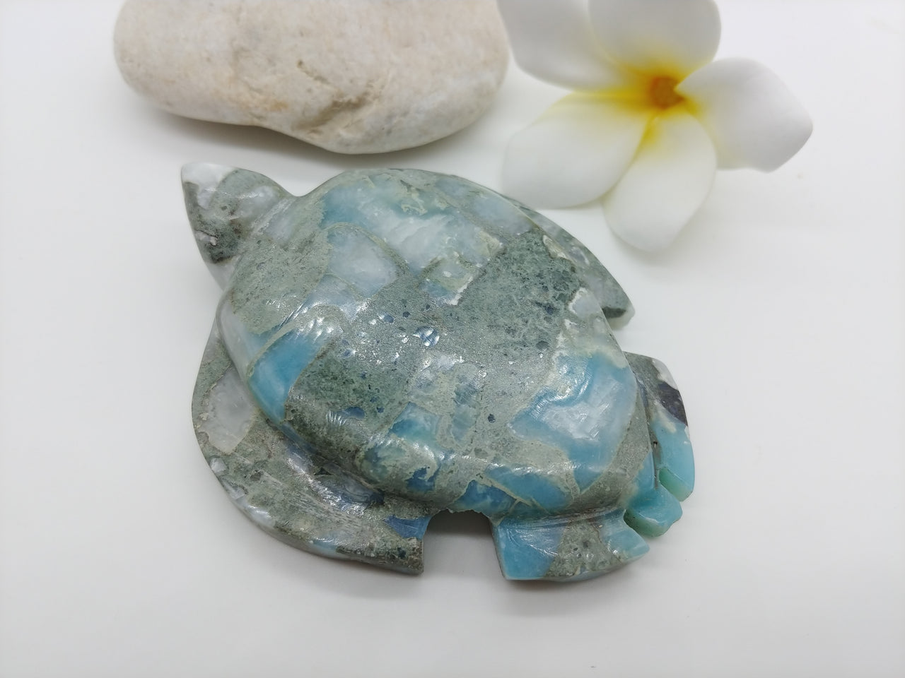 Larimar Honu BIG 2