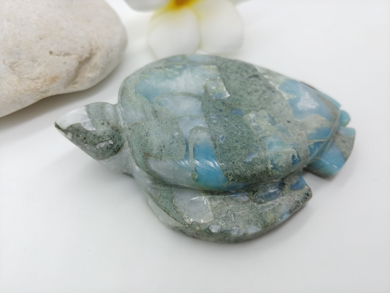 Larimar Honu BIG 2
