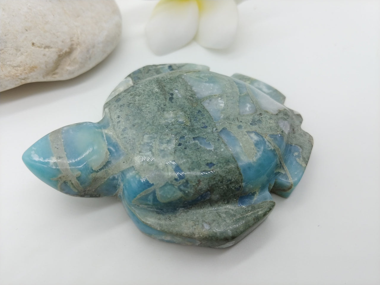 Larimar Honu BIG 1