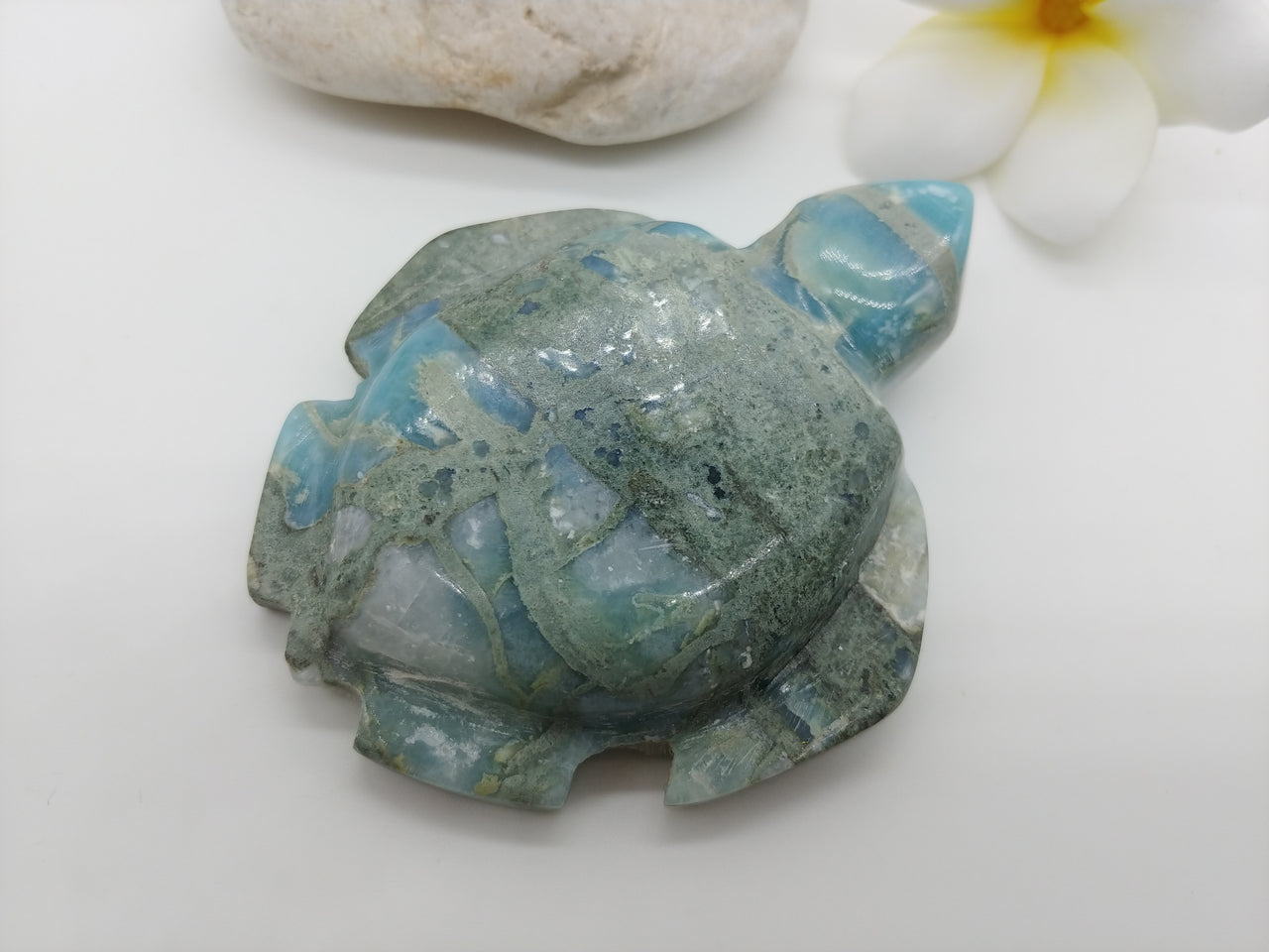 Larimar Honu BIG 1